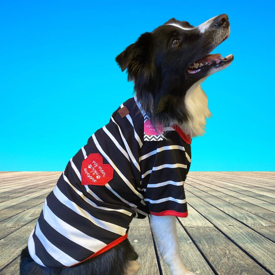 Alphadog Awesome Orta-Büyük Irk Köpek T-shirtü