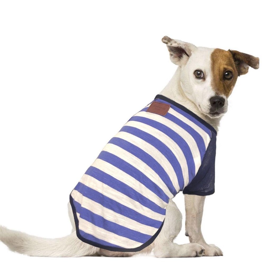 Alphadog Urban Blue T-shirt