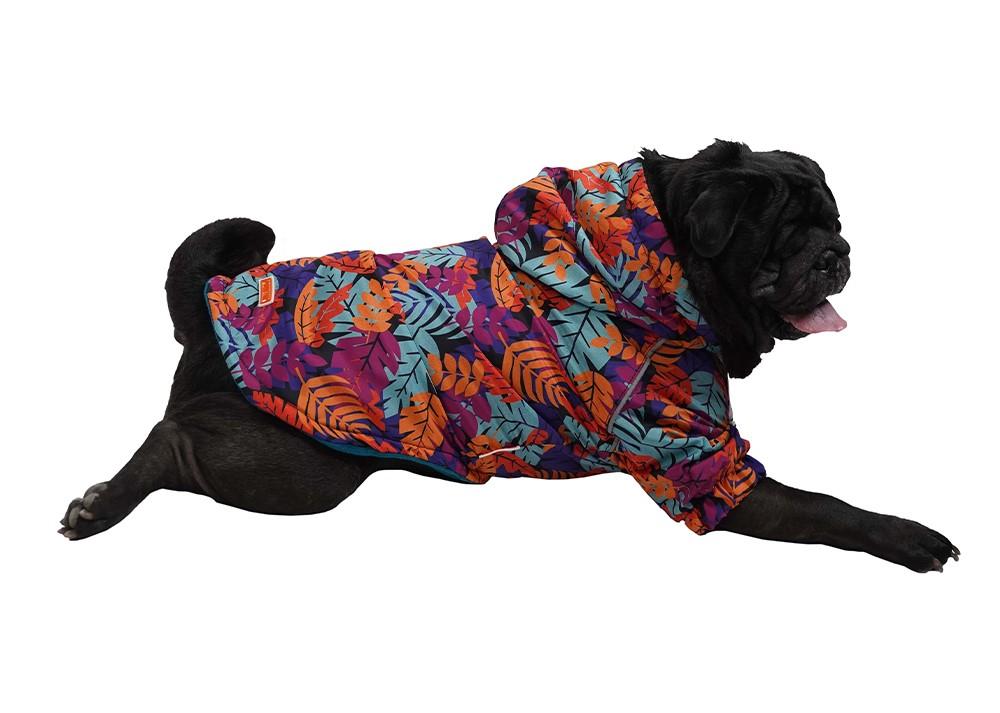 Pawstar Folium İçi Polar Küçük Irk Köpek Yağmurluğu