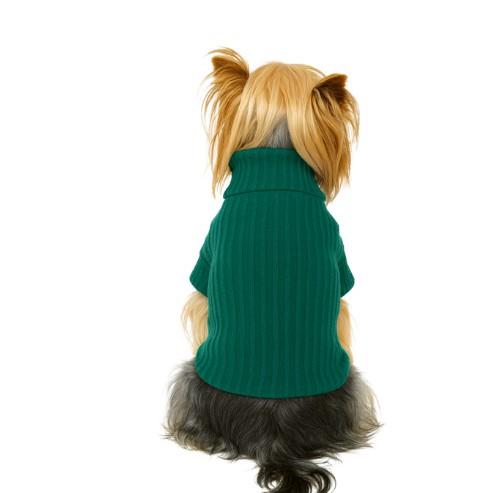 Gedyco Zümrüt Basic Küçük Irk Köpek Sweatshirtü