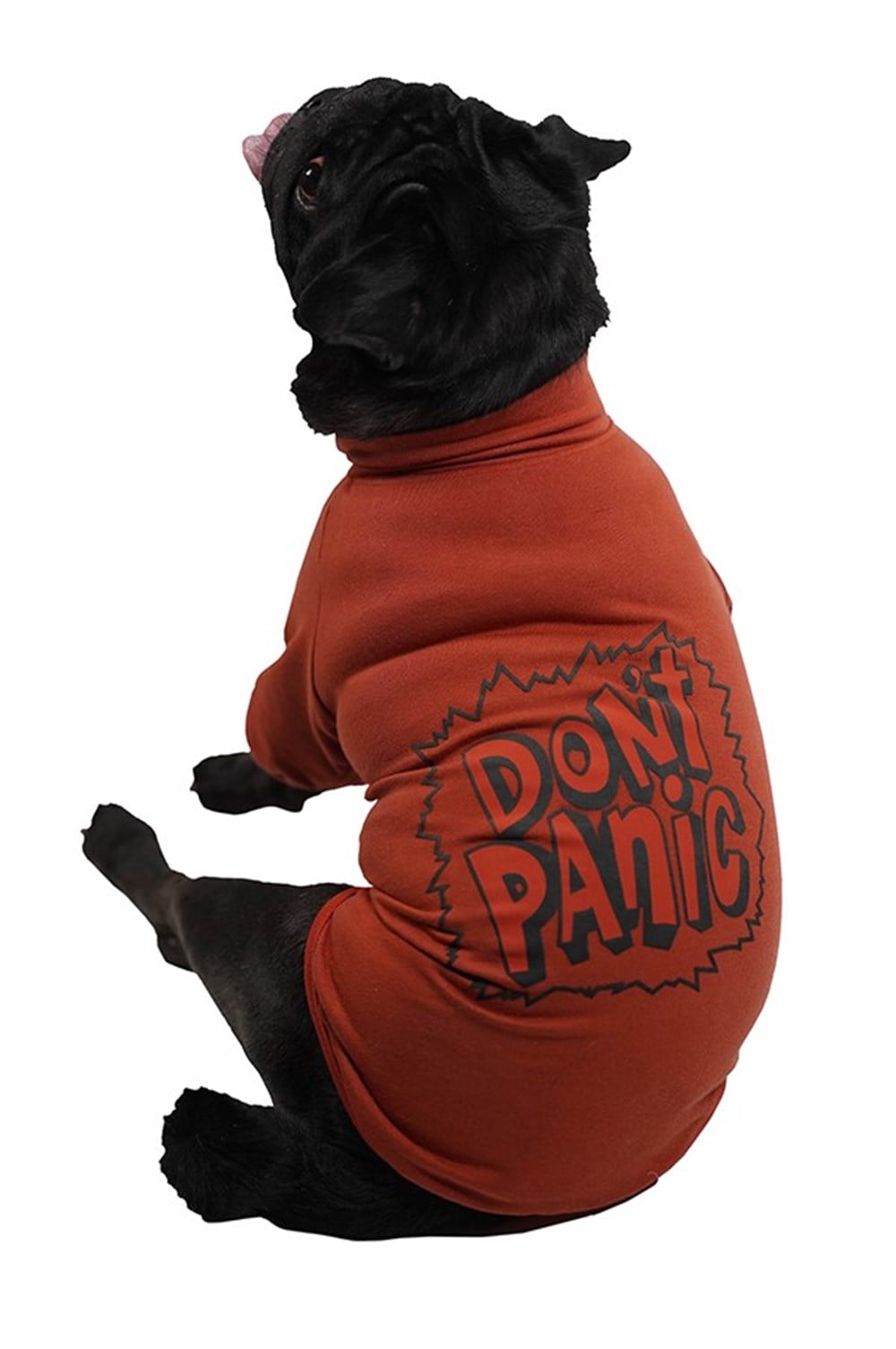 Pawstar Dont Panic Terracota Küçük Irk Köpek Sweatshirtü (1-11 kg arası köpeklere uygundur)