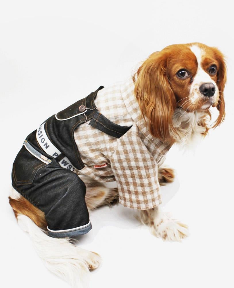 Pawstar Küçük Irk Köpek için Gömlekli Jean Tulum Bej
