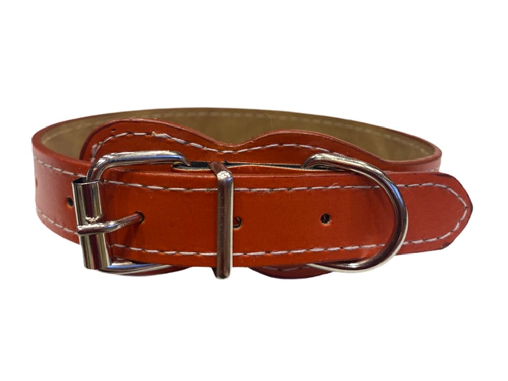 Turuncu Deri Köpek Boyun Tasması 2 cm x 30-43 cm