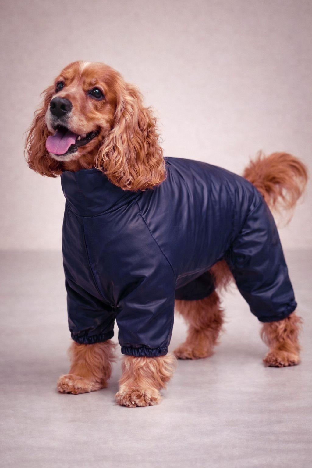 Alphadog Berry Polarlı Küçük Irk Köpek Yağmurluk Tulumu