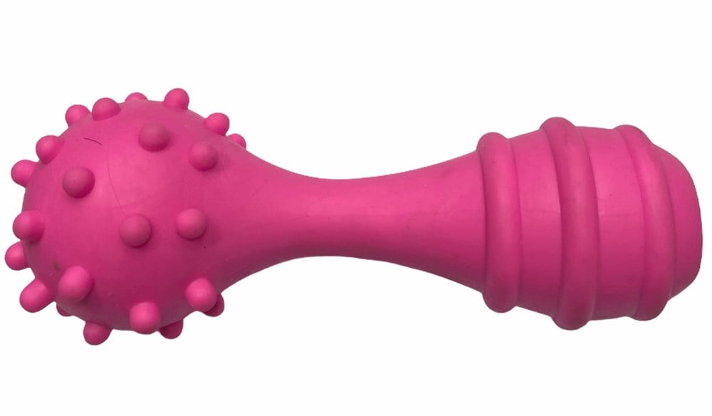 Zilli ve Kabarcıklı Pembe Kauçuk Dumbell Köpek Diş Kaşıma Oyuncağı 13 cm