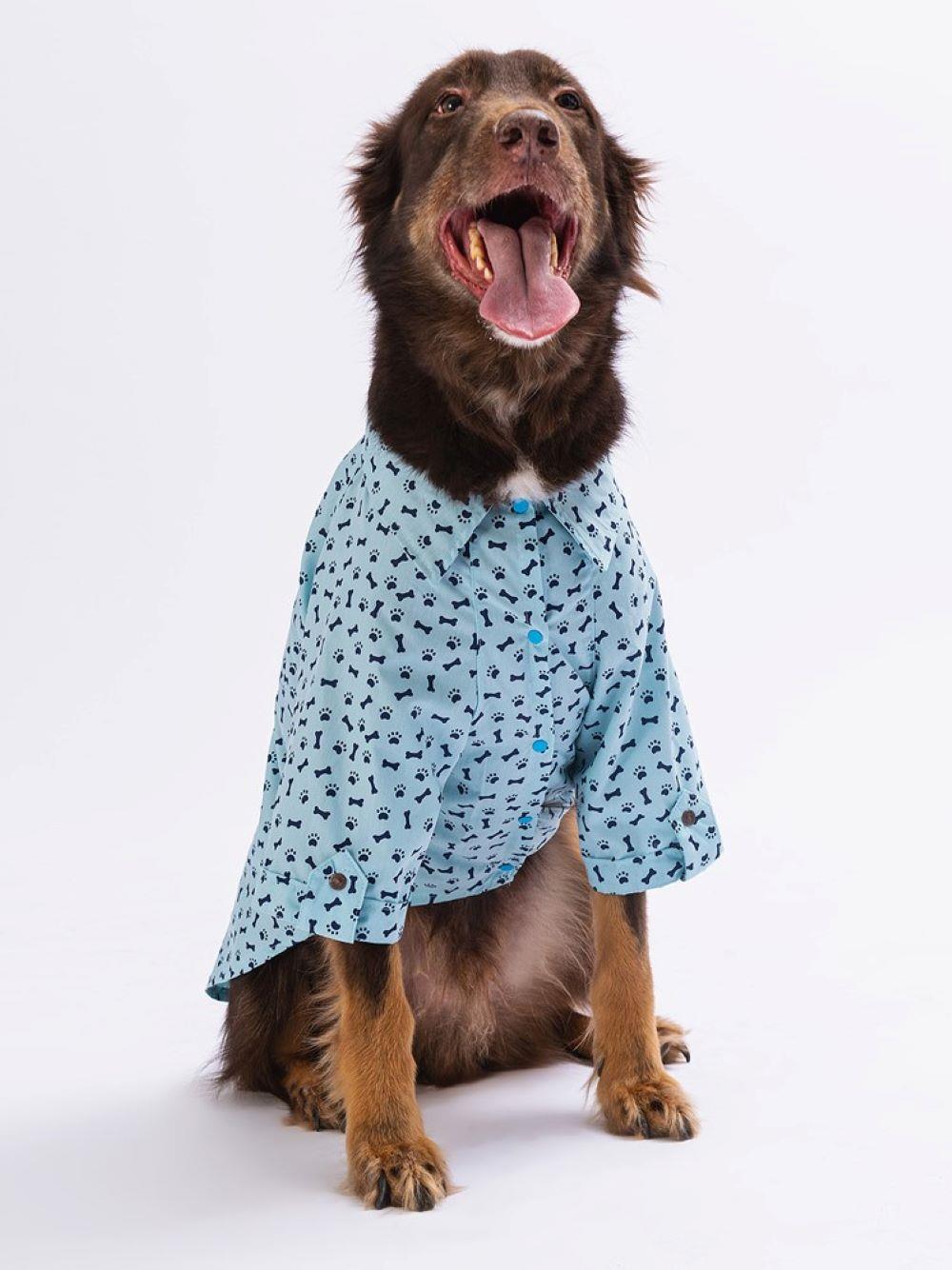 Pawstar Blue Ossa Orta-Büyük Irk Köpek Gömleği (11 kg-45 kg arasına uygun)