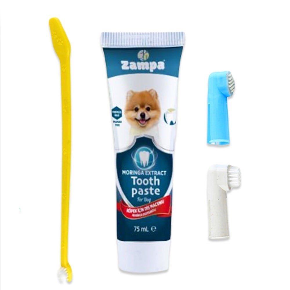 Zampa Köpekler için Diş Fırçalama Seti, 22 cm - 70 gr