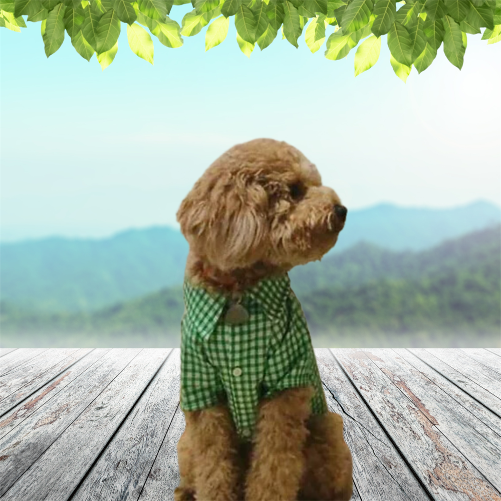 Yeşil Kareli Küçük Irk Köpek Gömleği (2,5 kg - 13 kg arasına uygun bedenlerde)