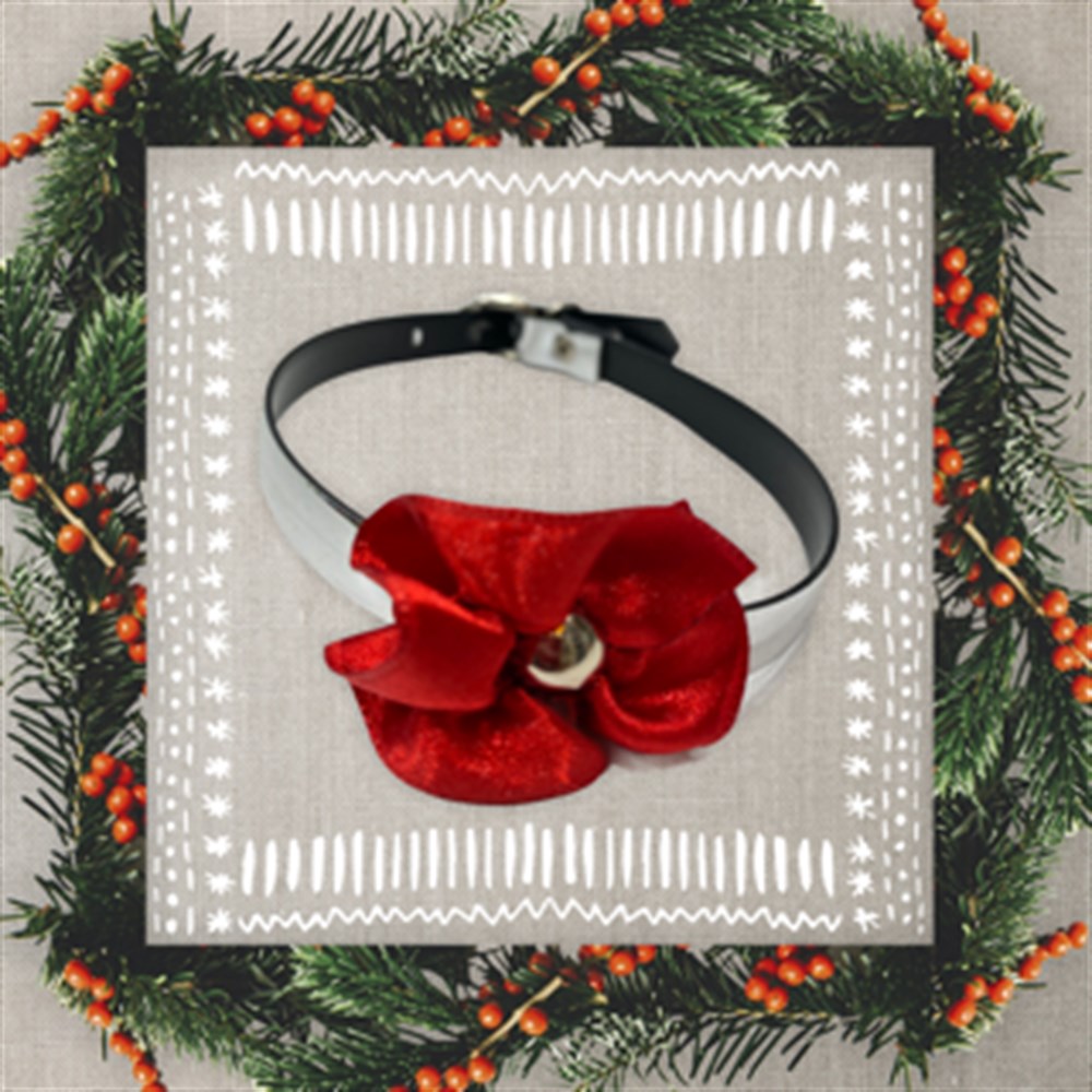 Kırmızı Çiçekli Kedi Boyun Tasması