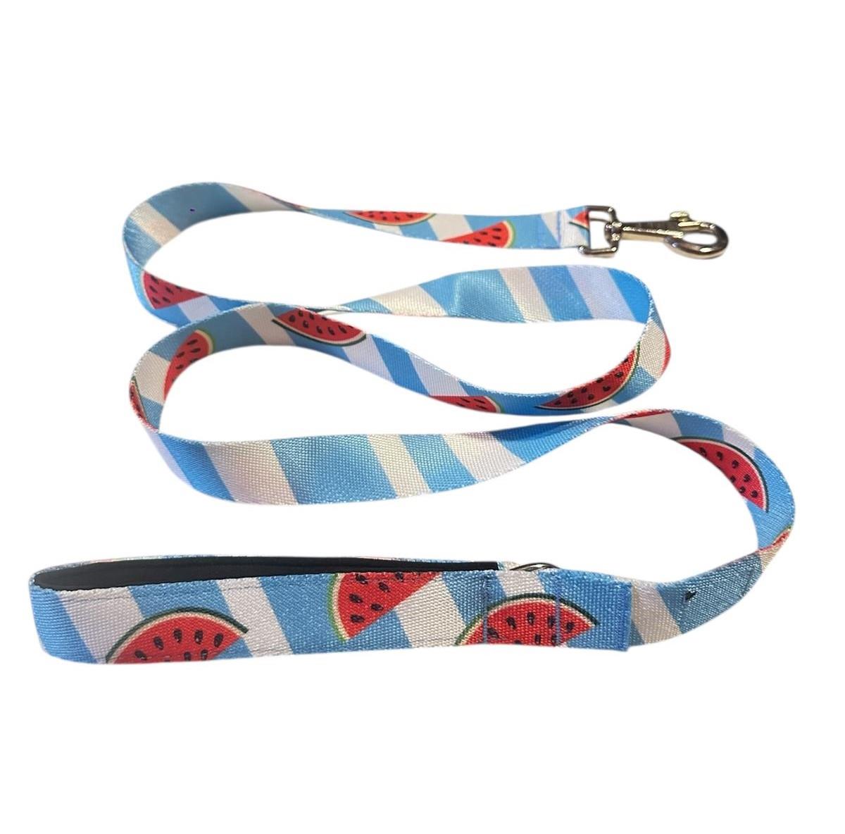 C&P Watermelon Köpek Gezdirme Kayışı 120 cm x 2,5 cm