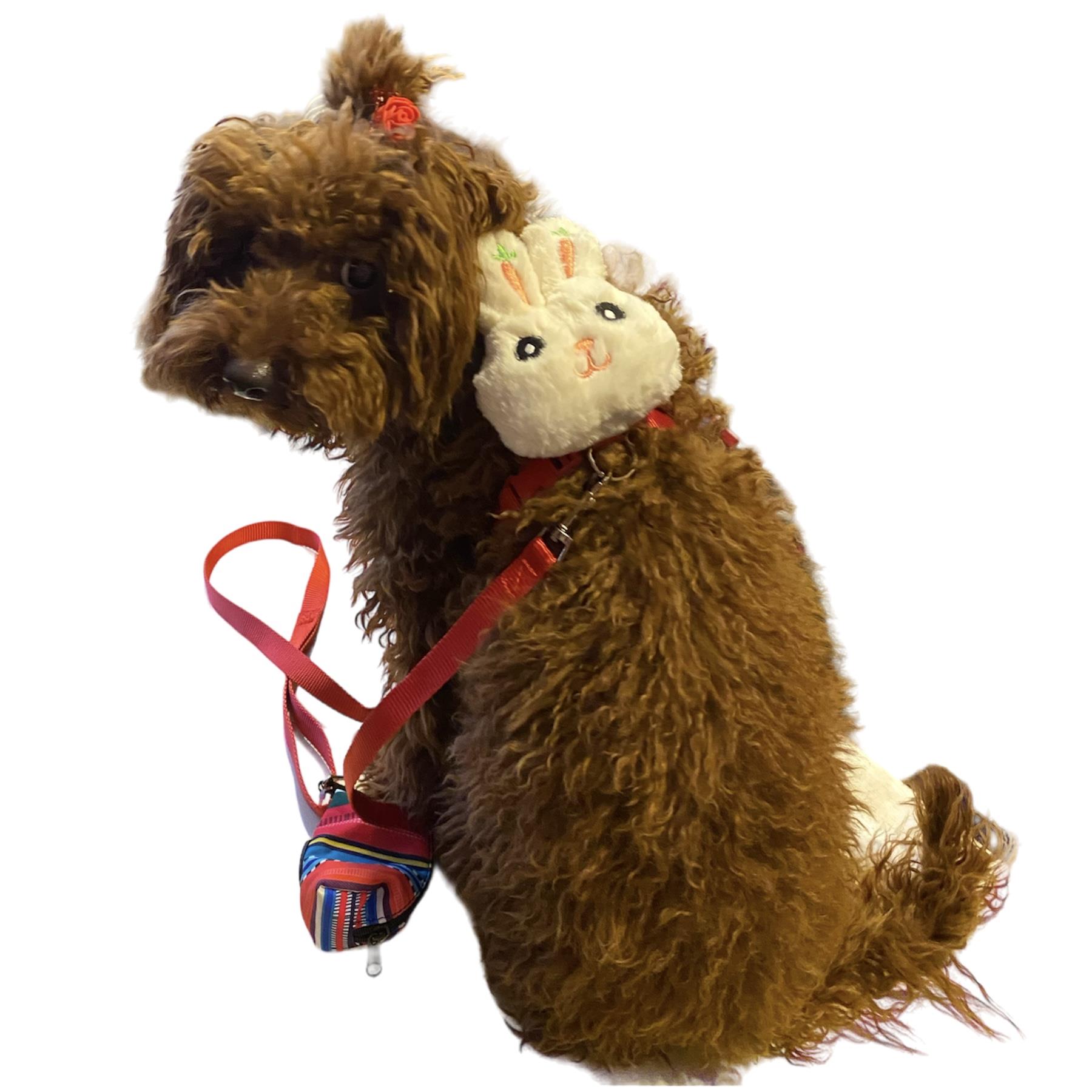Bunny Kedi ve Köpek Gezdirme ve Göğüs Tasma Seti (Göğüs: 30 cm - 50 cm)