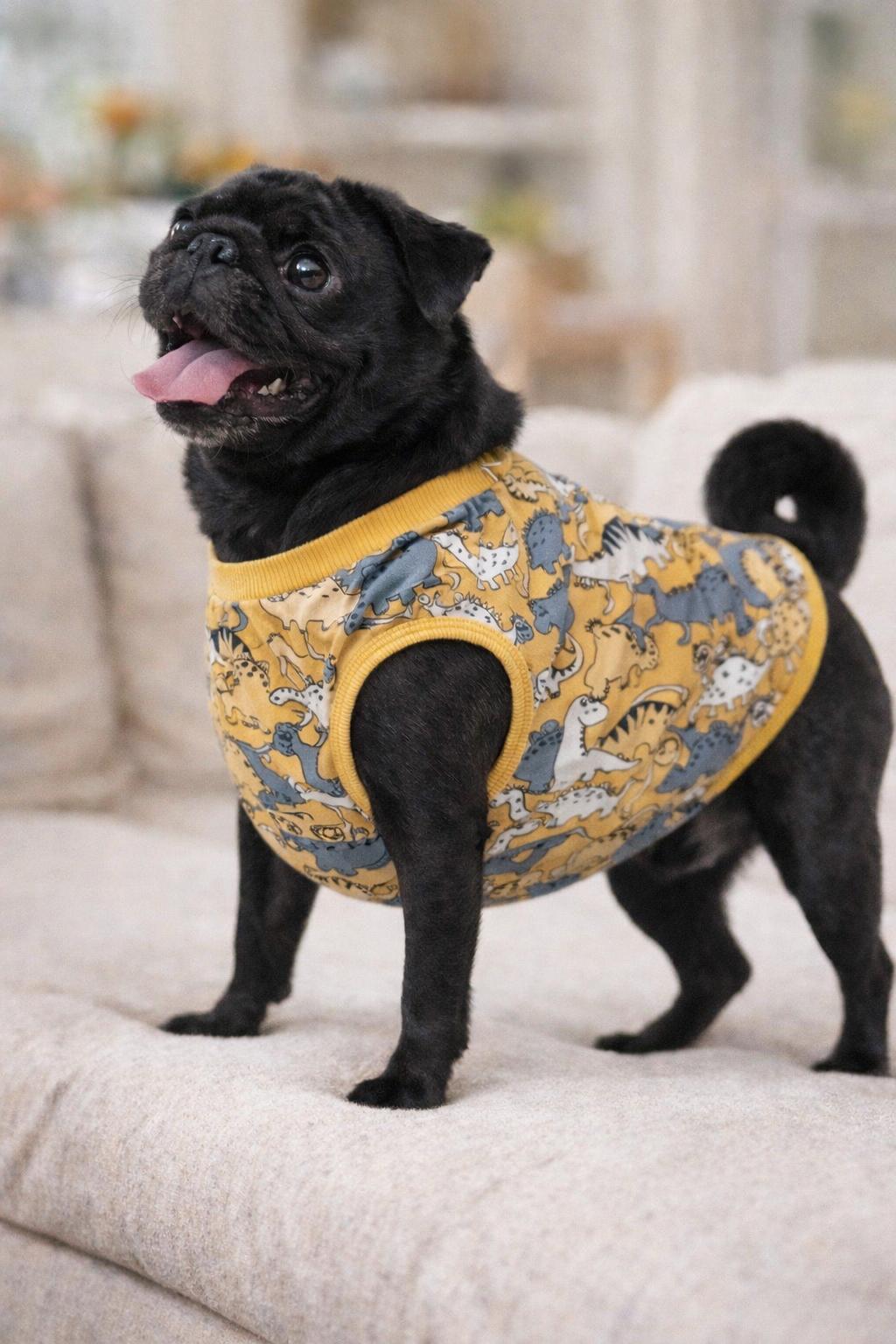 Miniş Gri-Sarı Dinazor Küçük Irk Köpek Penye T-shirt