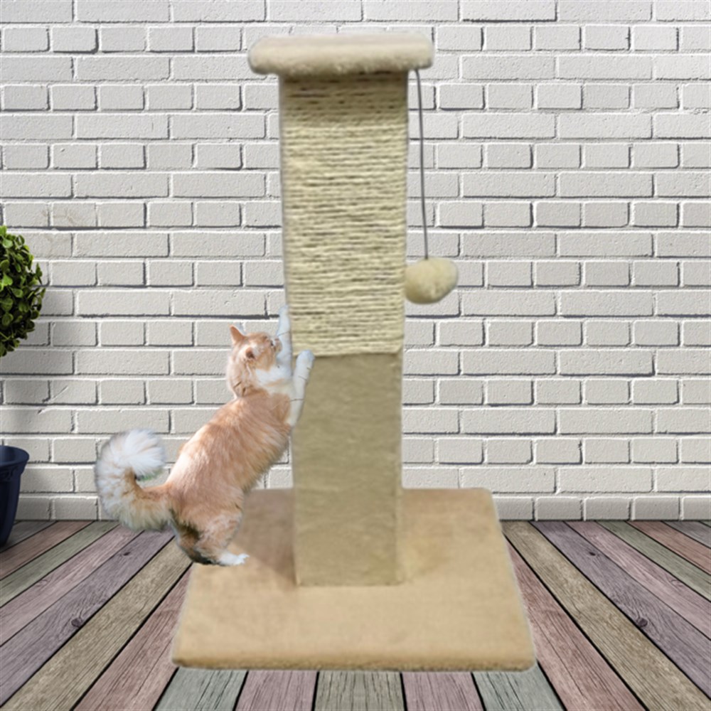 Zampa Bej Kütük Kedi Tırmalama Ünitesi