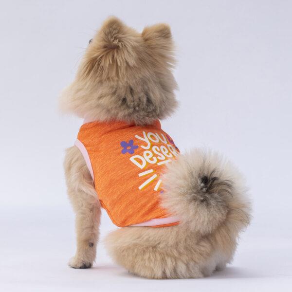 Pawstar Orange Joy Küçük Irk Köpek Penye T-shirt