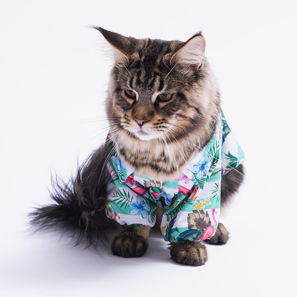 Pawstar Hawai Kedi ve Küçük Irk Köpek Gömleği