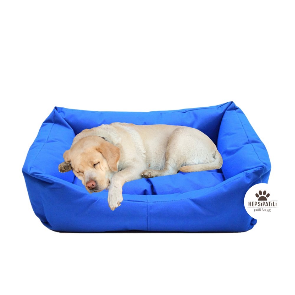İç ve Dış Mekan Kedi ve Köpek Yatağı 58 x 75 x 20 cm Mavi
