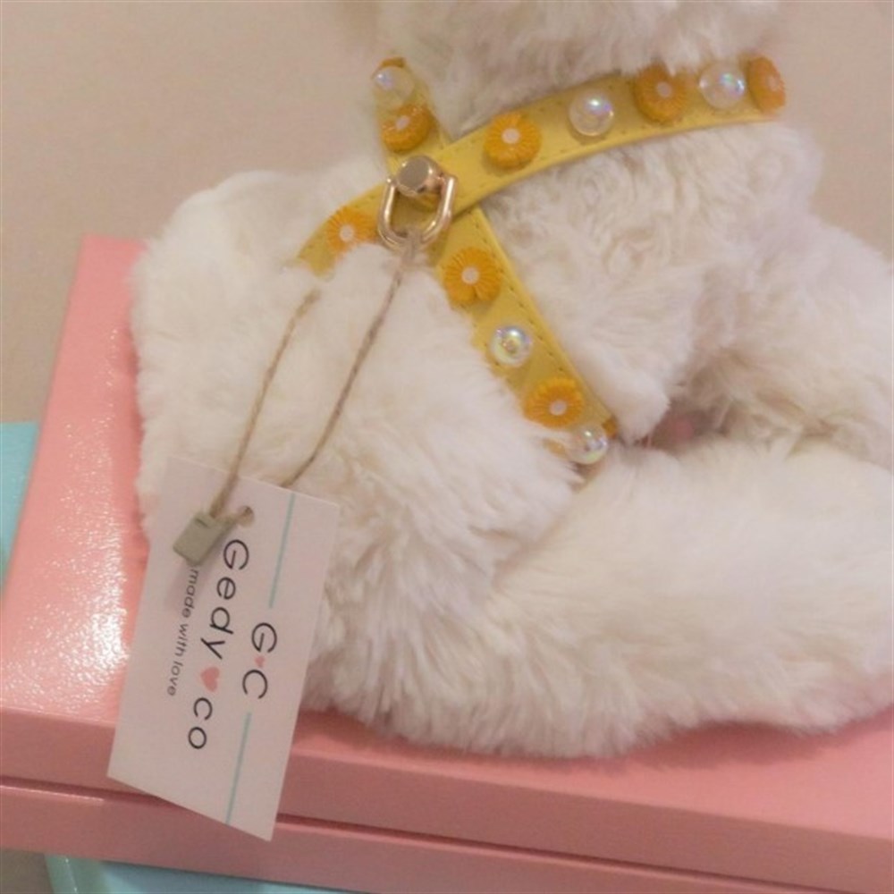 Gedyco Daisy Bubble Küçük Irk Köpek Göğüs Tasması
