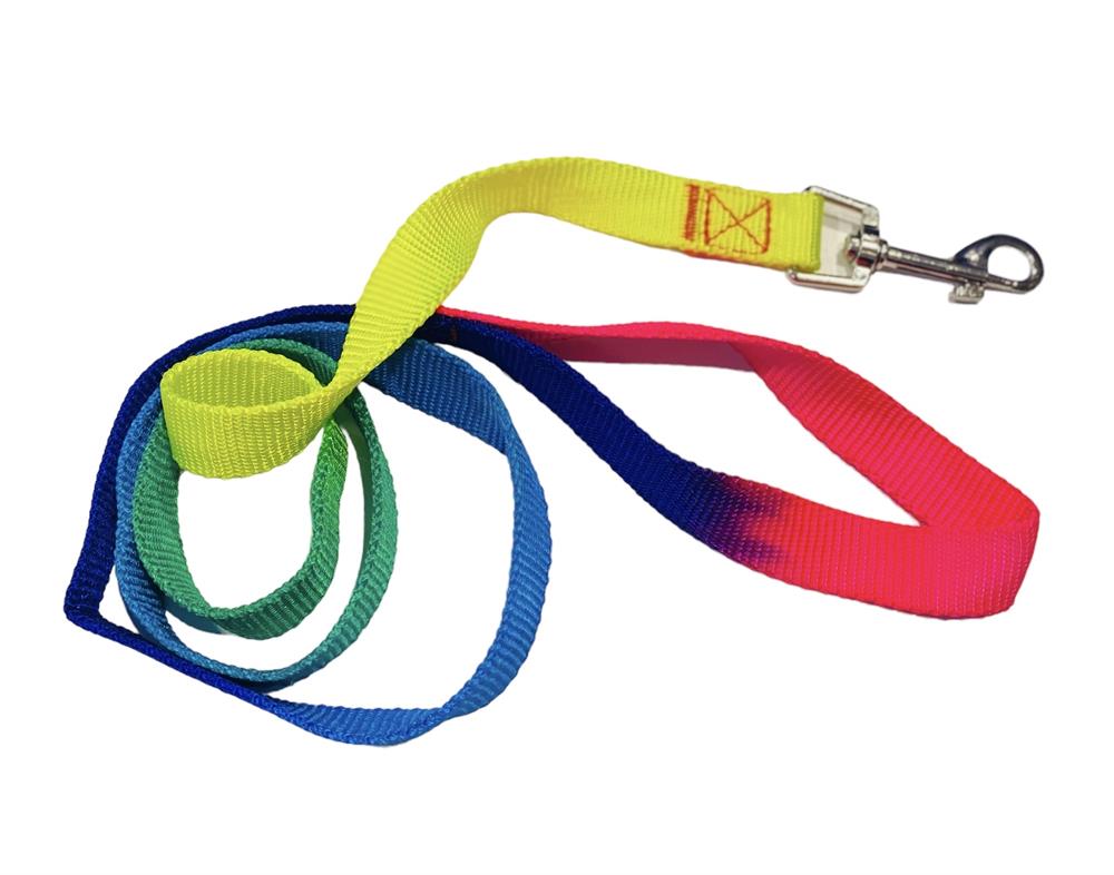 Gökkuşağı Köpek Gezdirme Kayışı (2 cm x 120 cm)
