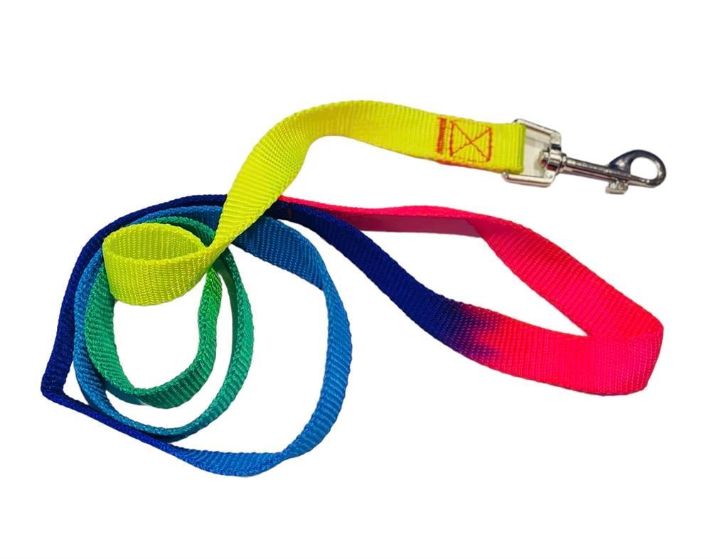 Gökkuşağı Köpek Gezdirme Kayışı (2,5 cm x 120 cm)