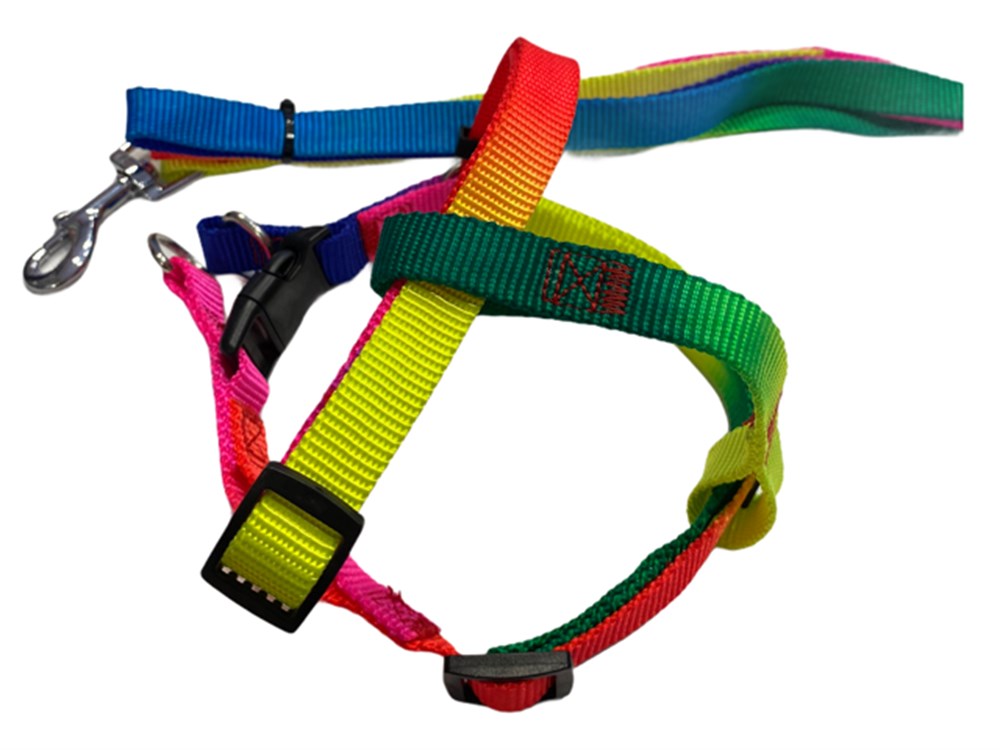 Gökkuşağı Göğüs ve Uzatma Şerit Tasma Seti Küçük-Orta Irk (35 - 50 cm göğüs)