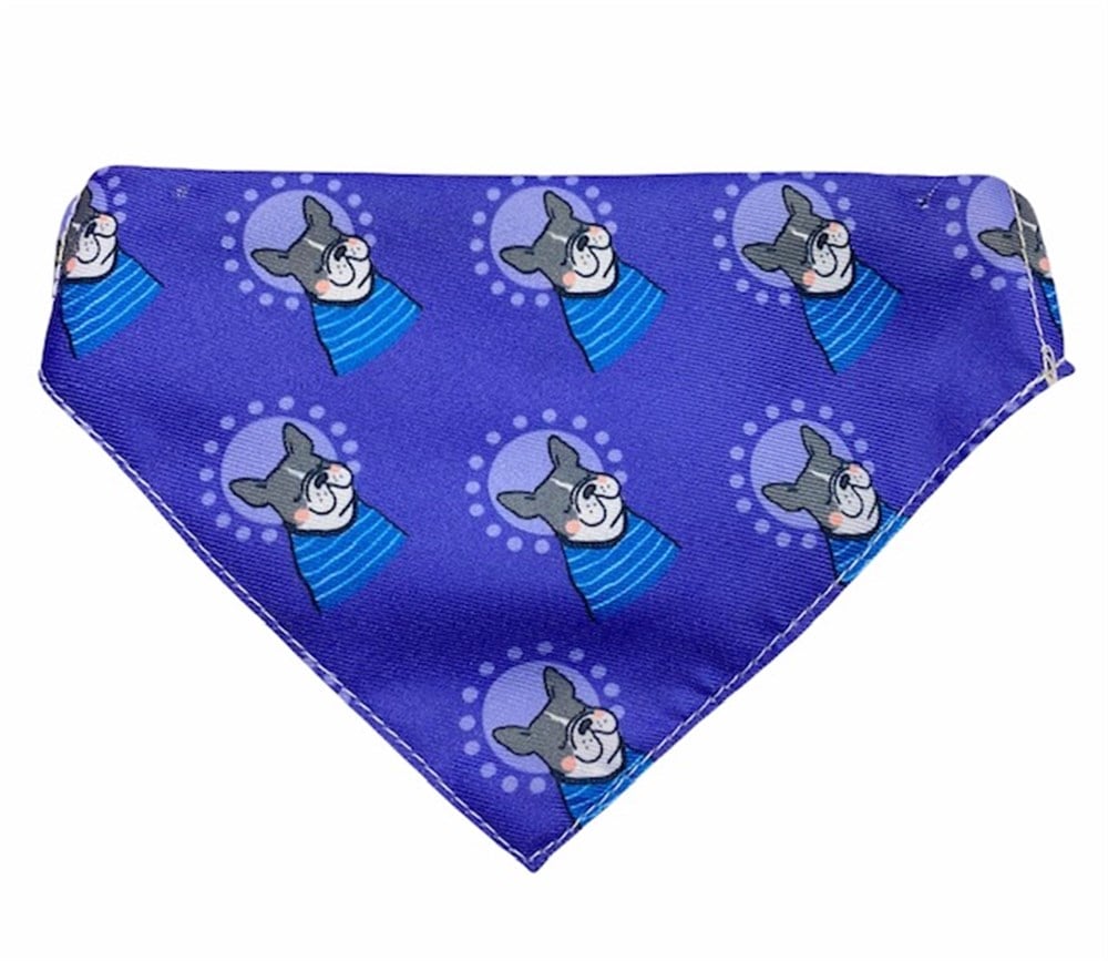 Mr.Serious Purple Bandanalı Köpek Boyun Tasması