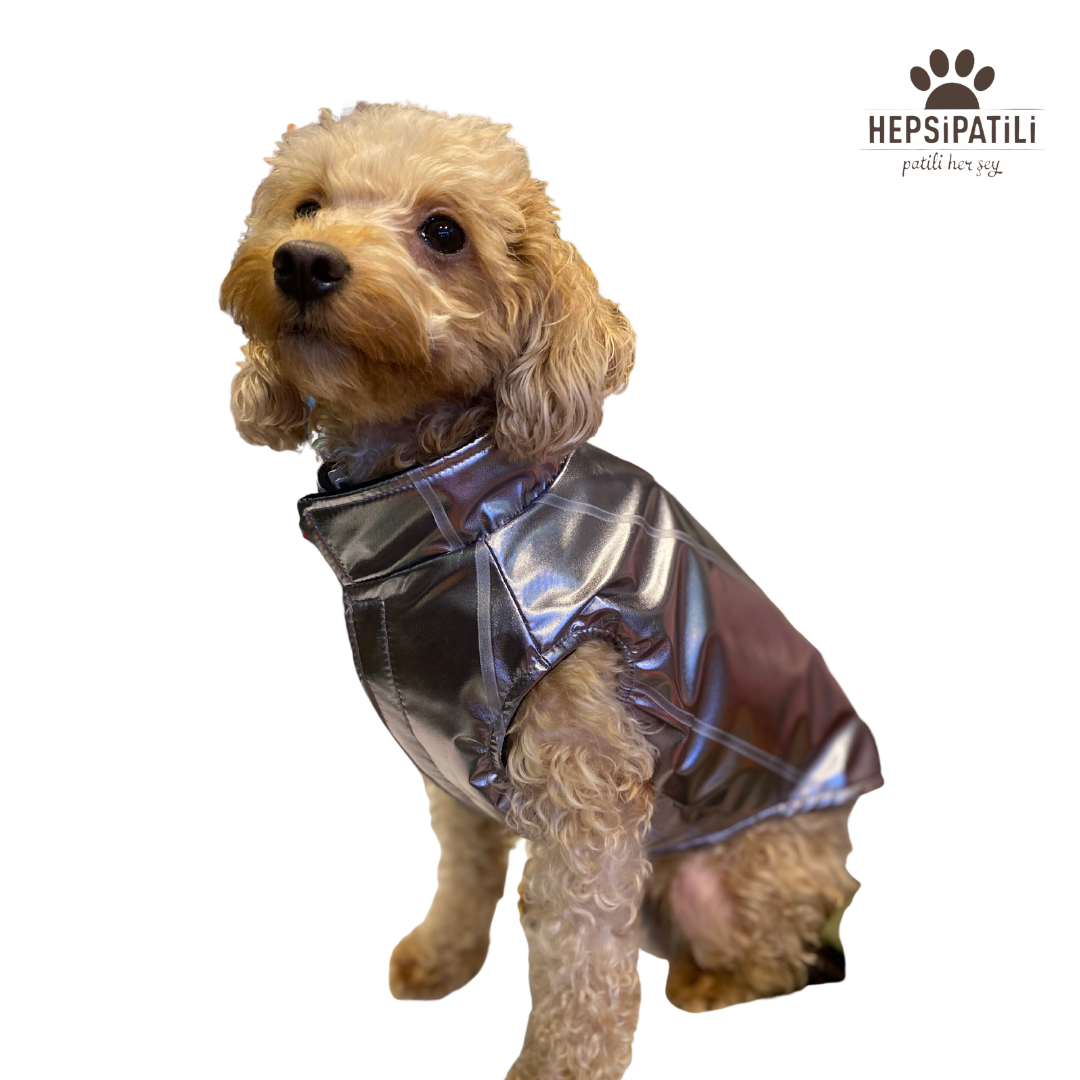 Alphadog Silver Vest Küçük Irk Köpek Yağmurluğu