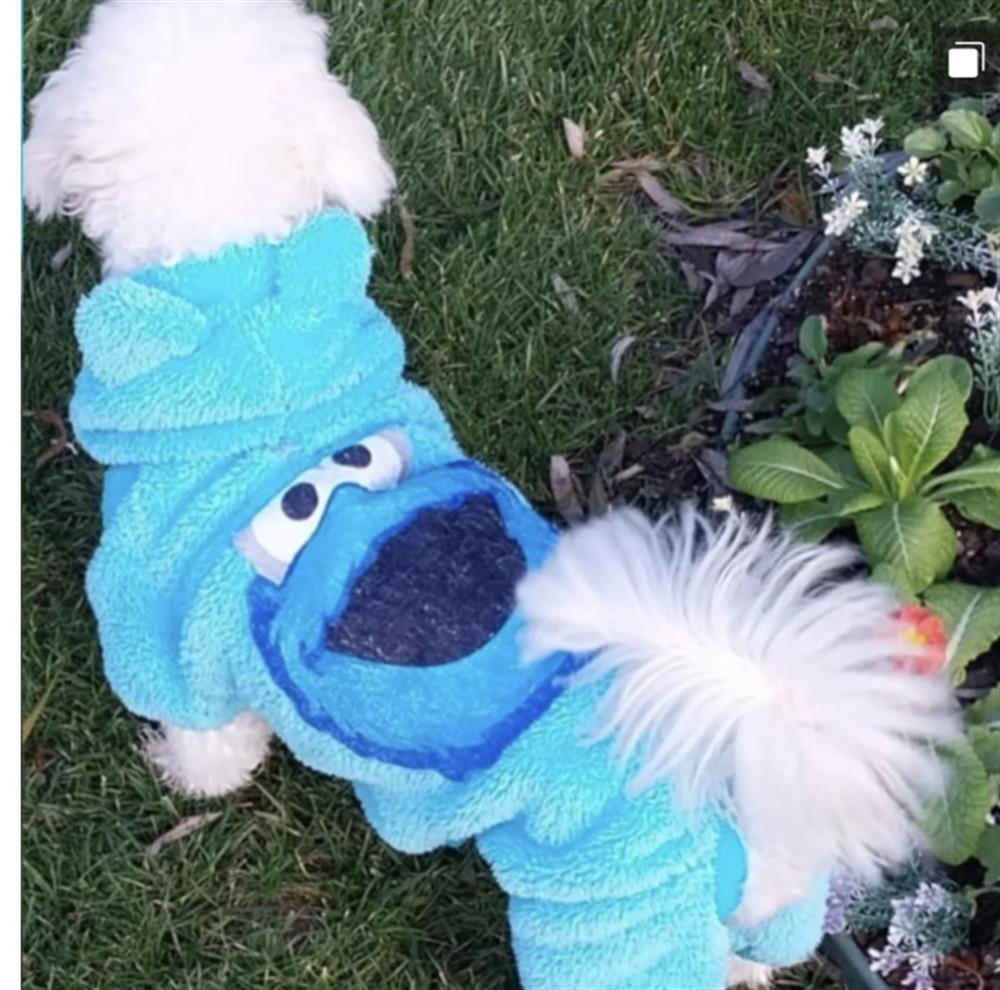 Muppets Kapüşonlu Mavi Peluş Küçük-Orta Irk Köpek Tulumu (2,5 kg-13 kg arasına uygun bedenlerde)