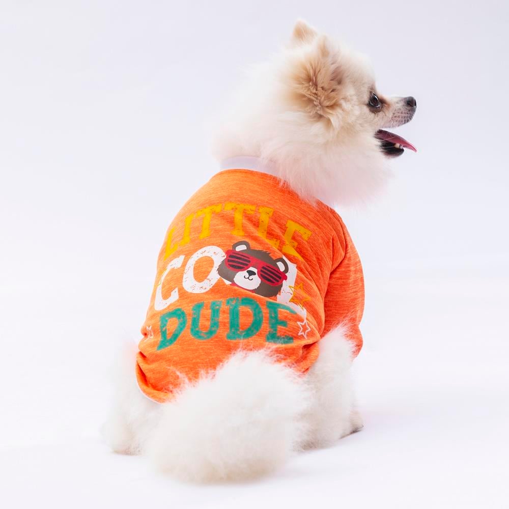 Pawstar Turuncu Dude Küçük Irk Köpek Penye T-shirt