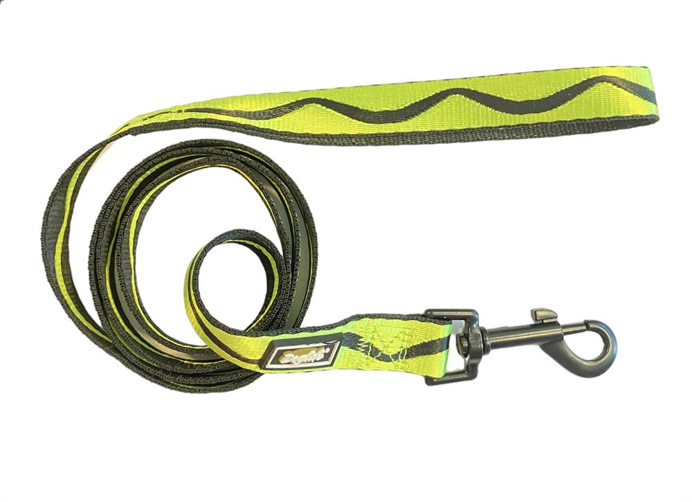 Lime Wave Köpek Gezdirme Tasması (2,5 cm x 120 cm)