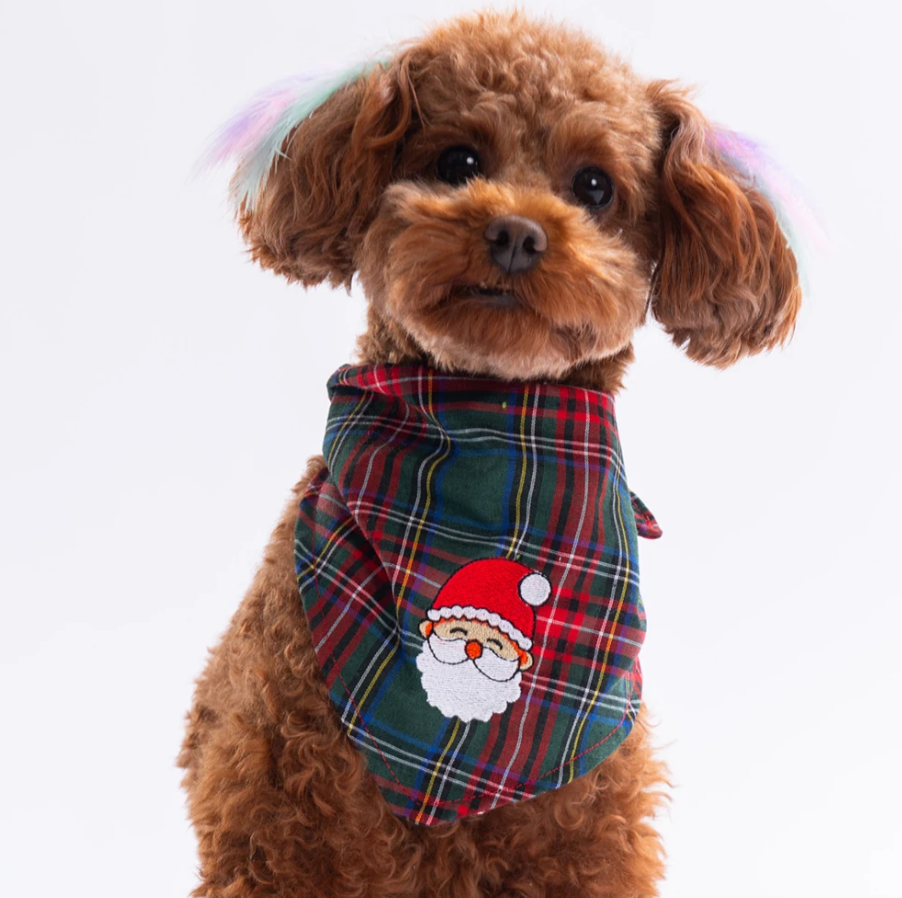 Pawstar Santa Sprinkles Kedi ve Köpek Bandanası