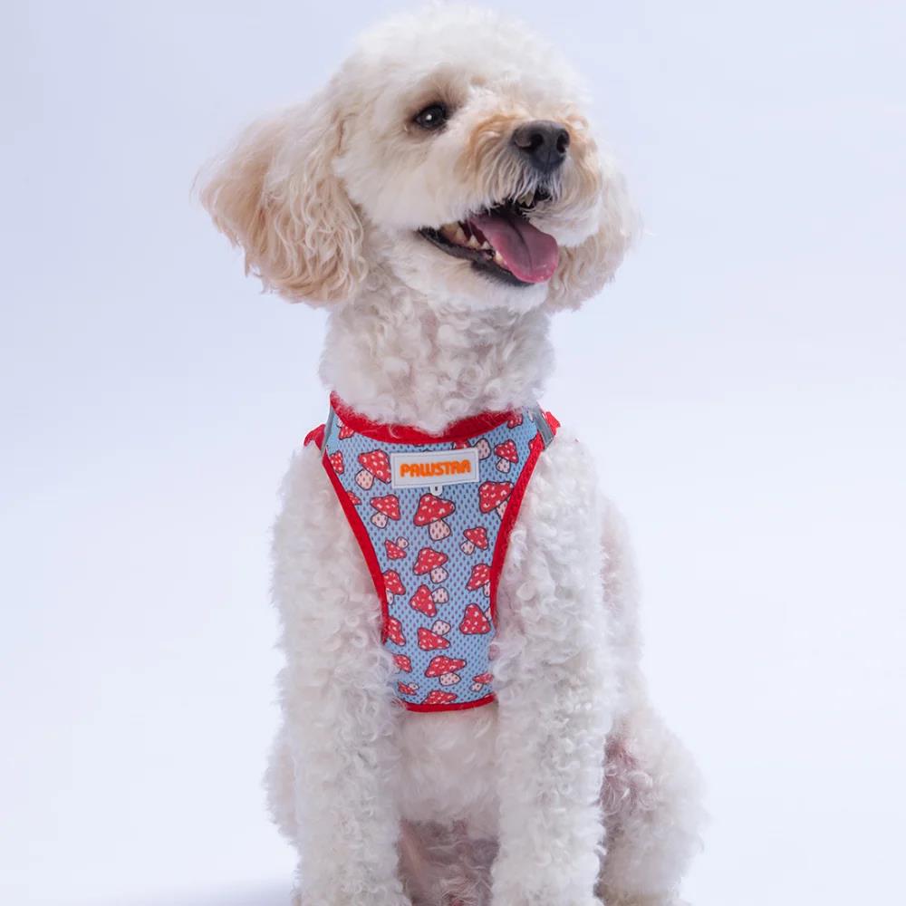 PawStar  Airmesh Mushroom Göğüs Tasması