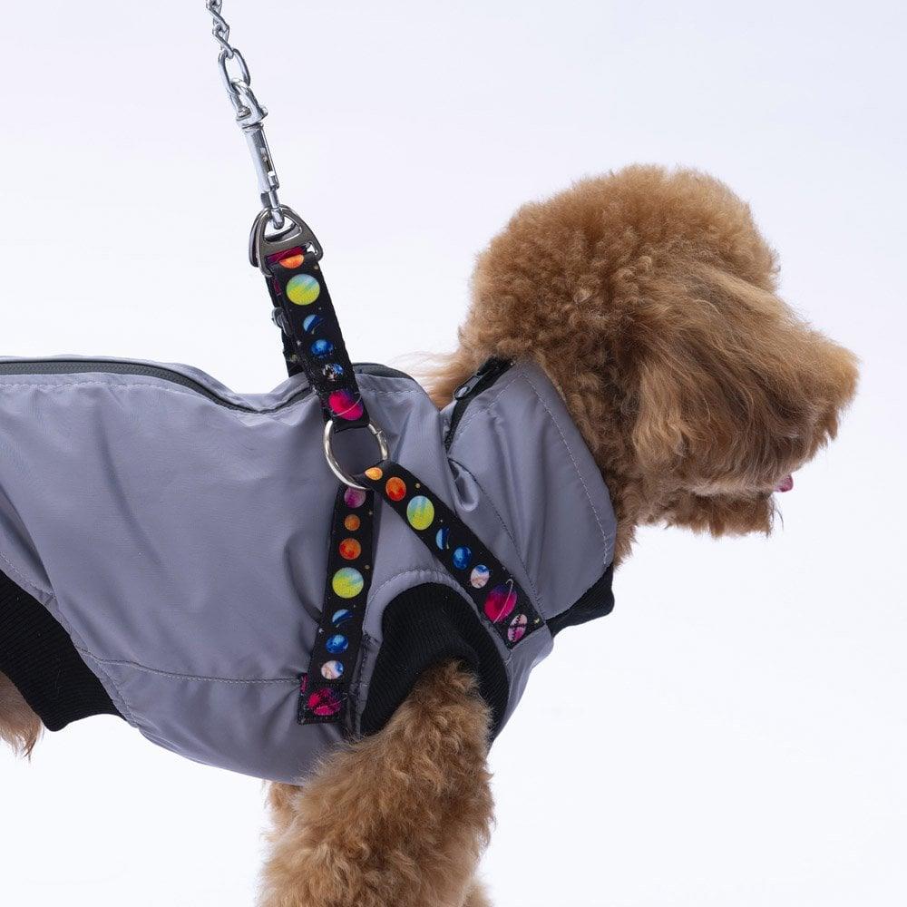 PawStar  Gri Nuuk Kolsuz Yelek Yağmurluk Küçük ve Orta Irk