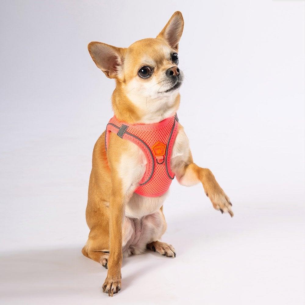 PawStar  Neon Pink - Neon Pembe Airmesh Köpek Göğüs Tasması