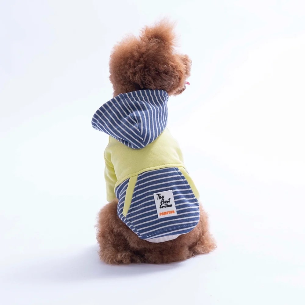 PawStar 226722 Yeşil Sera Stripe Hoodie