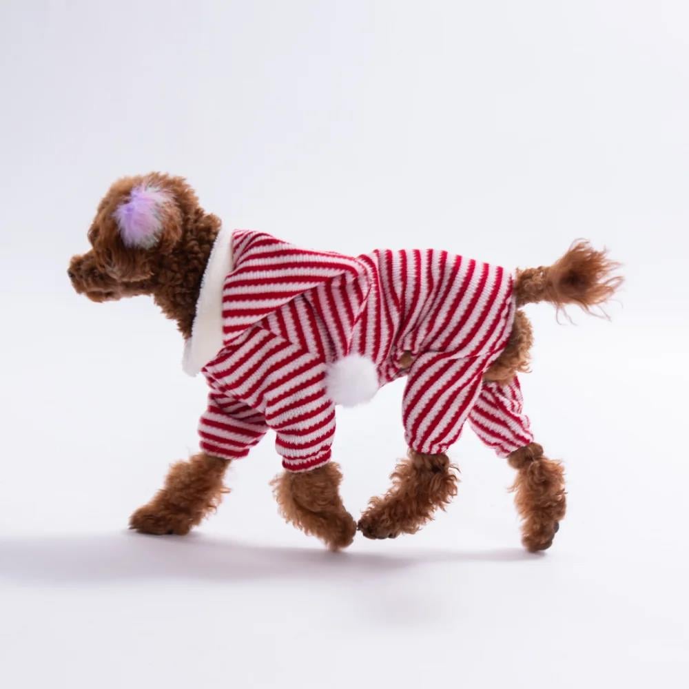 PawStar 25909- Elf Stripe Kapşonlu Tulum