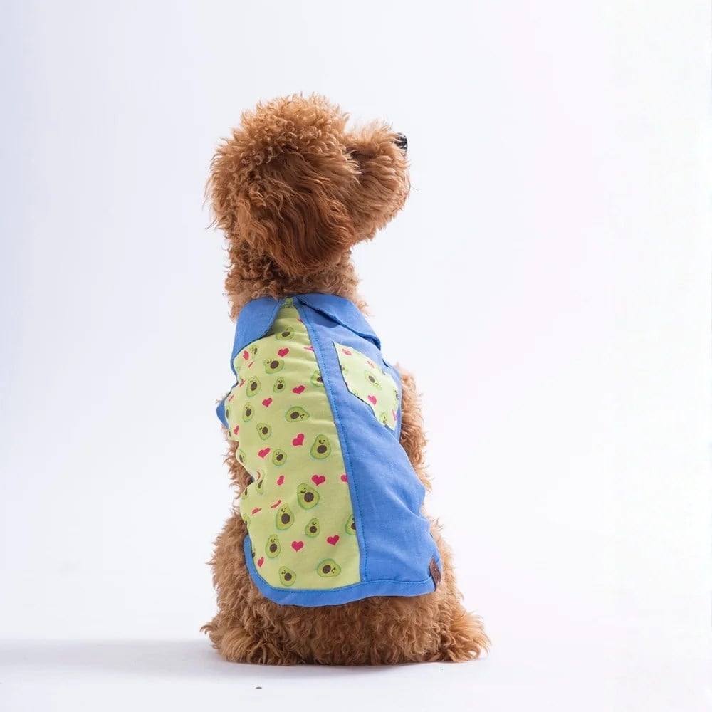 PawStar 26408 Avo Bliss Desenli Denim Gömlek