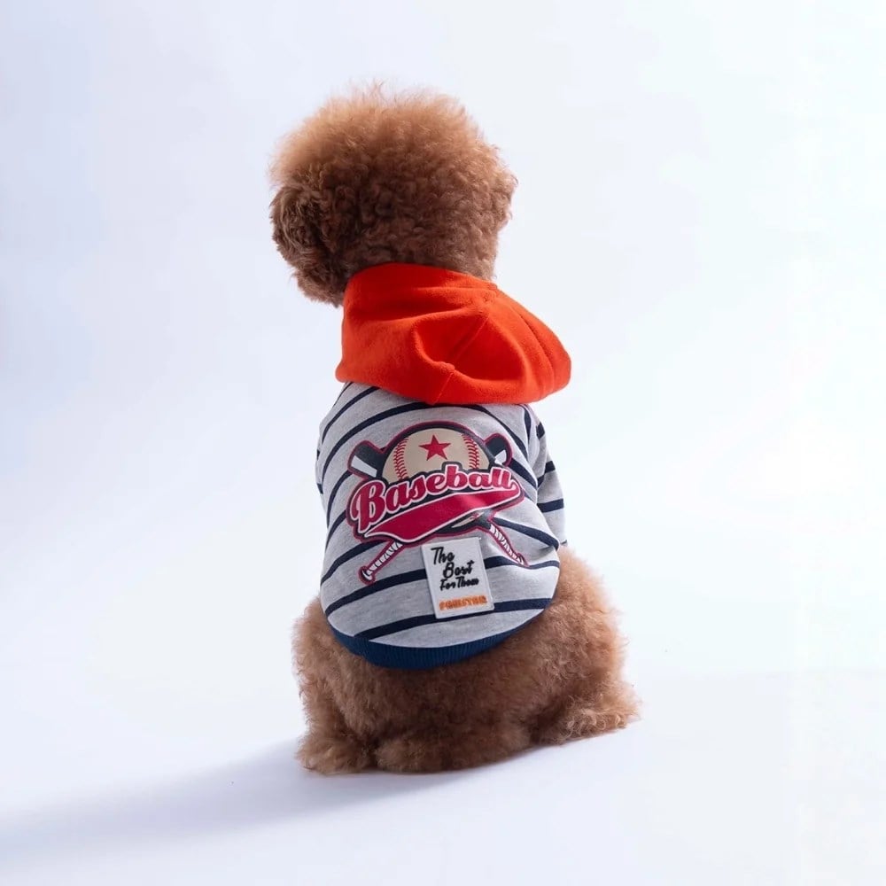 PawStar 26725 Somon Sera Stripe Hoodie