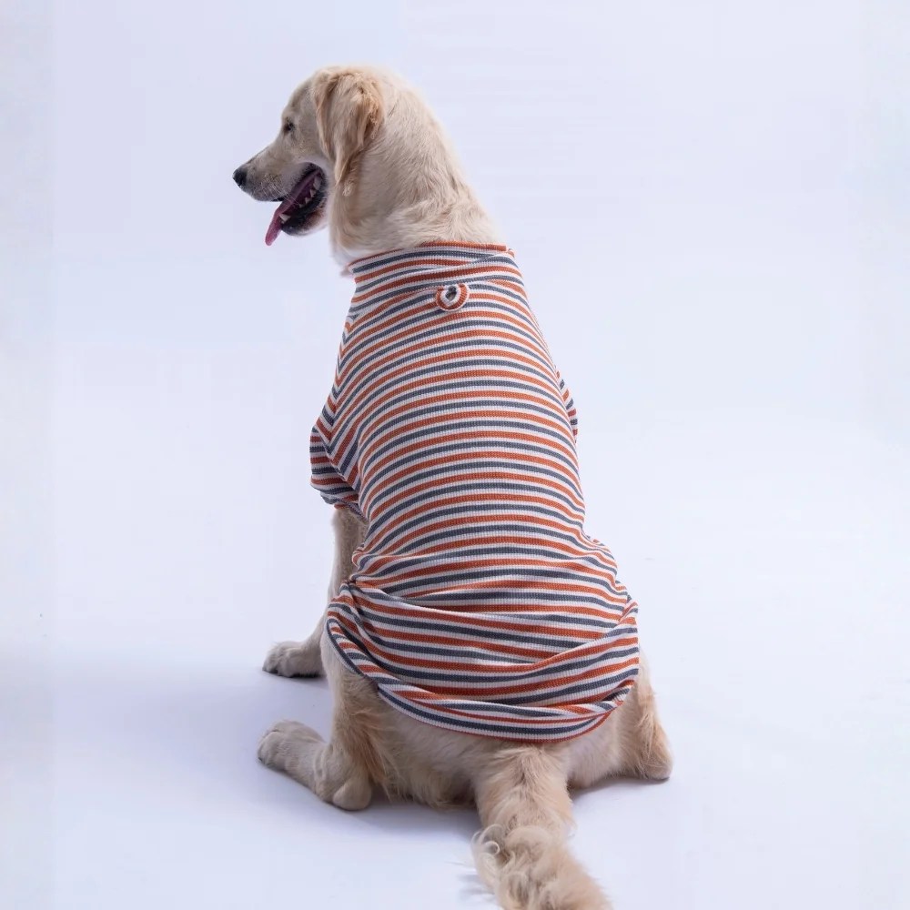 PawStar 26766 Kiremit Marseille Softline Büyük Irk Sweat