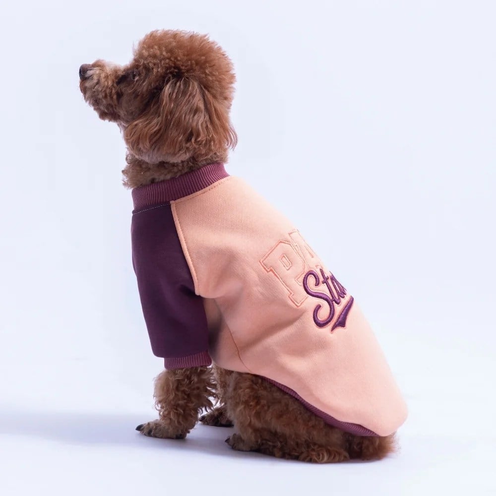 PawStar 26774 Somon Boston Pawstar Sweat