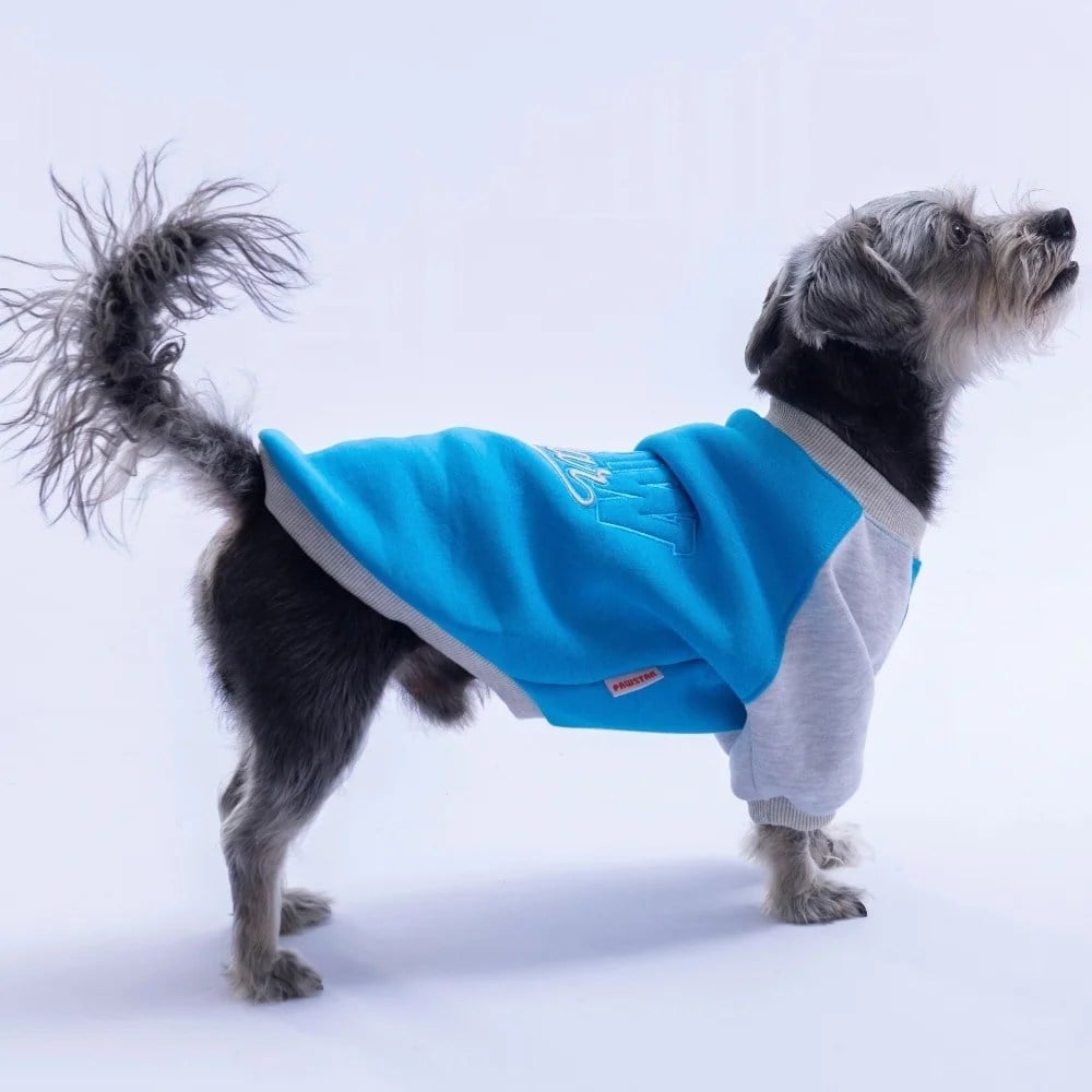 PawStar 26775 Mavi Boston Pawstar Sweat