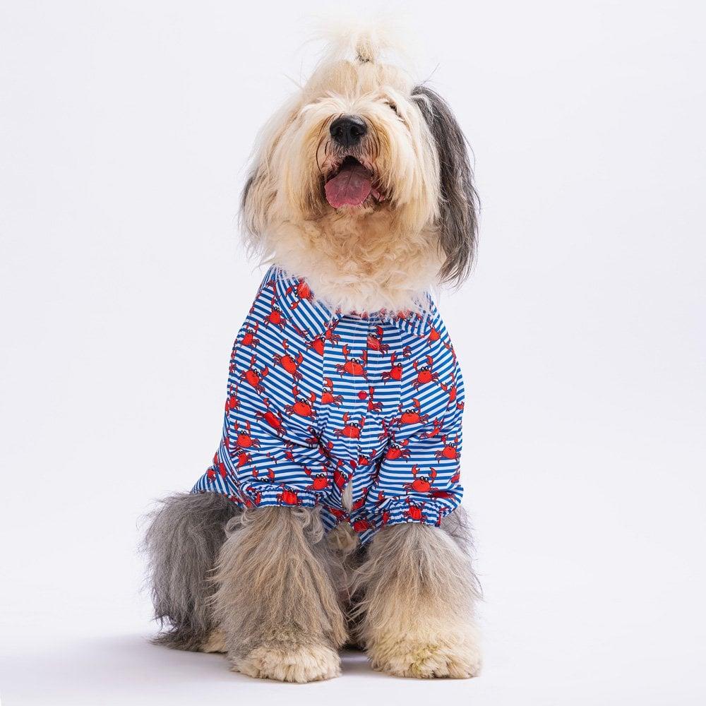 PawStar Crabs Büyük Irk Gömlek