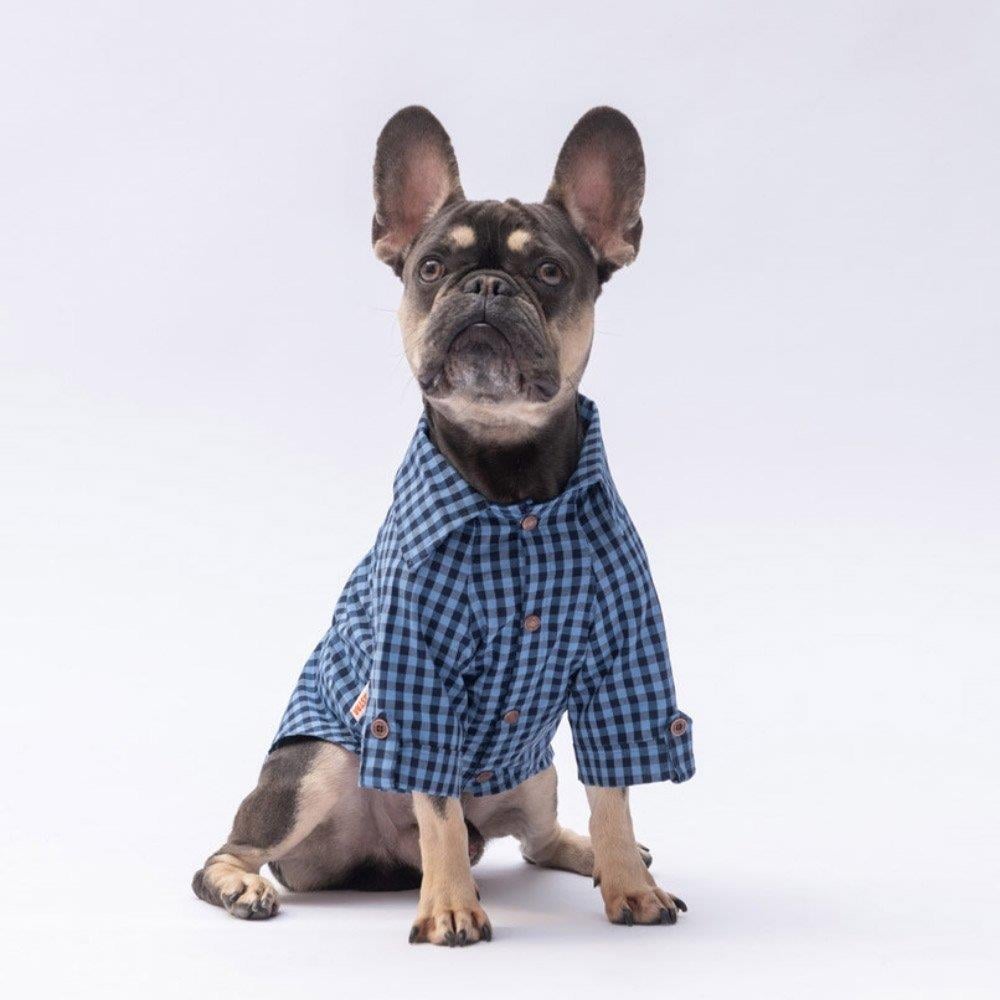 PawStar Mavi Luss Gömlek