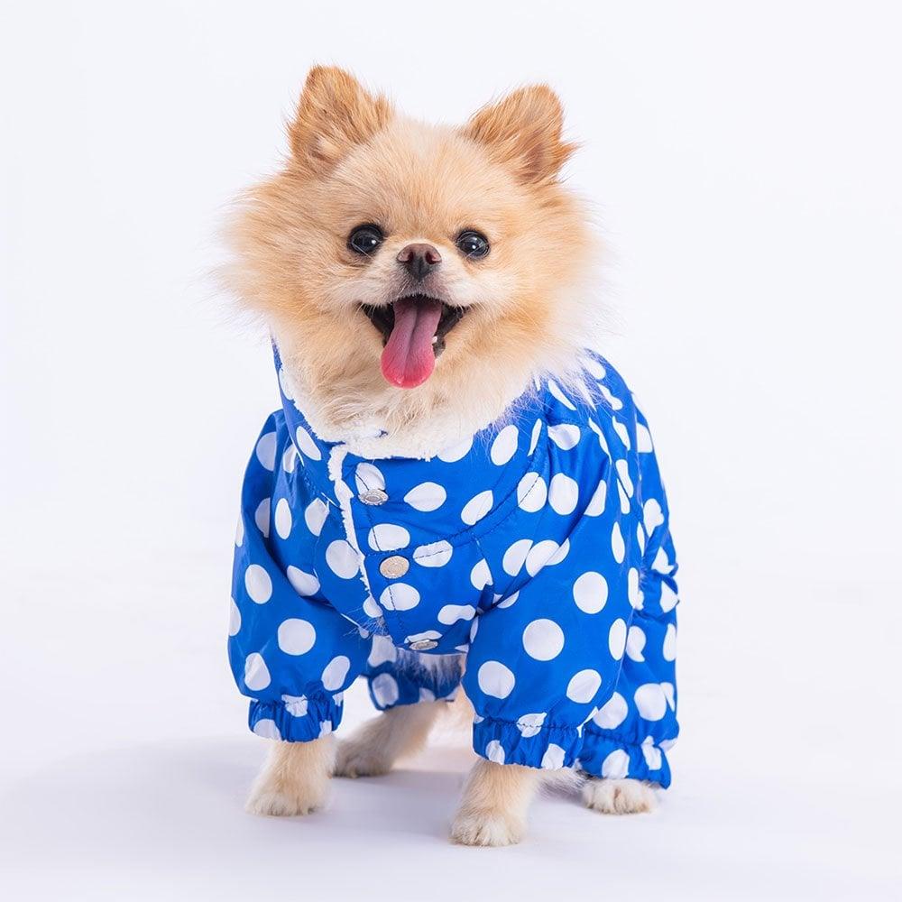 PawStar Mavi Puantiyeli Tulum Yağmurluk Küçük ve Orta Irk