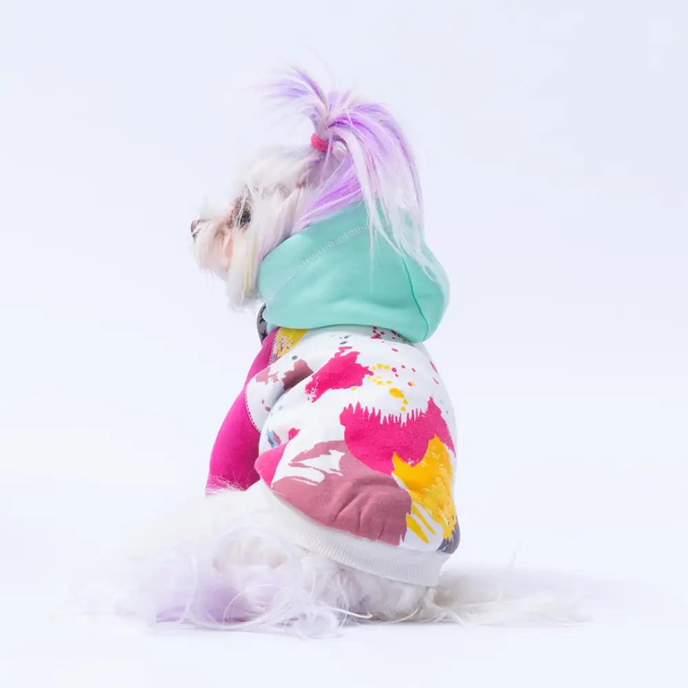 PawStar Mint Rio Hoodie Küçük ve Orta Irk