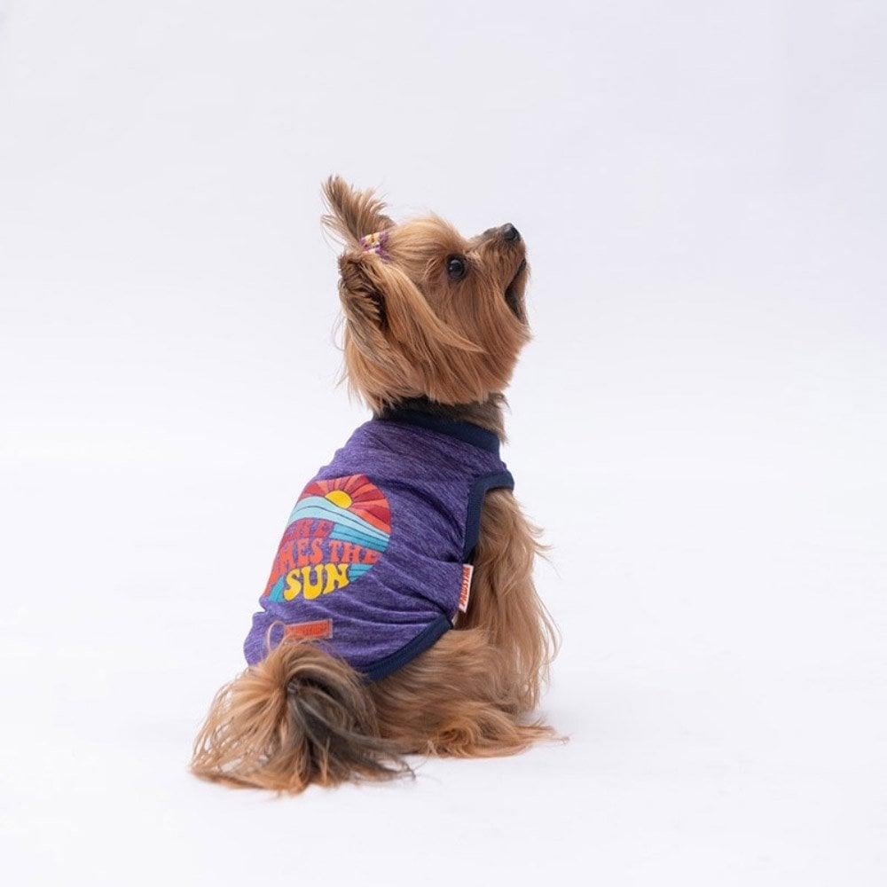 PawStar Mor The Sun T-Shirt Küçük Irk