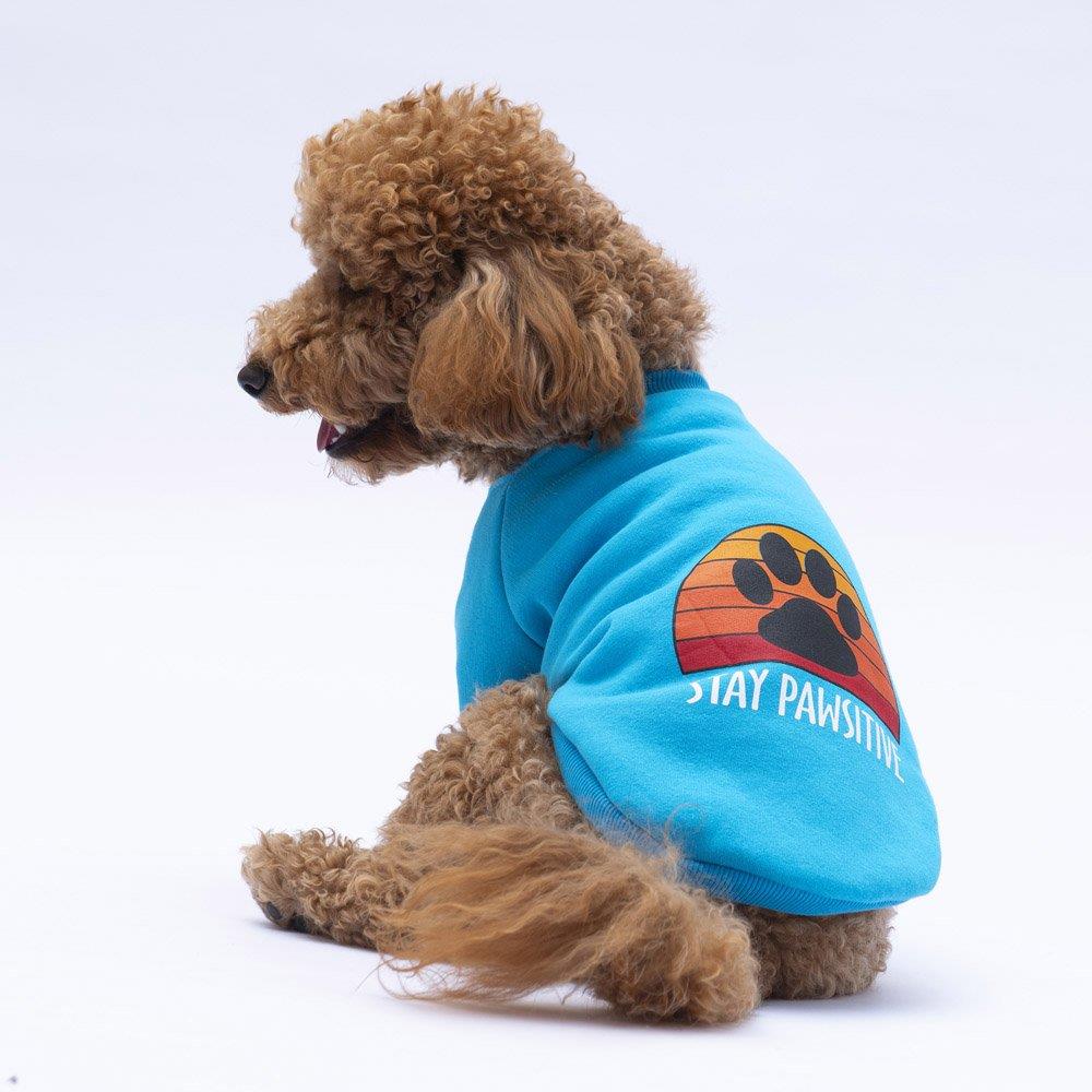 PawStar Turkuaz Carmel Sweat Küçük ve Orta Irk