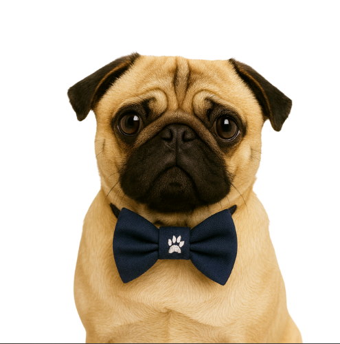 Gedyco Paws Koyu Lacivert Kedi ve Köpek Papyonu