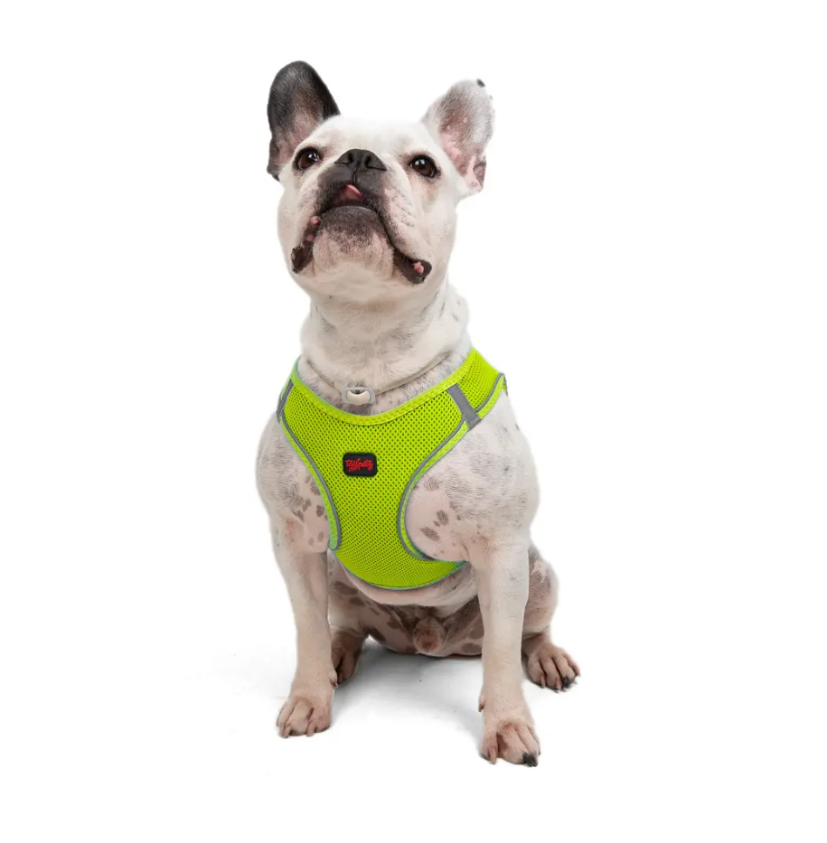 Tailpetz Air-Mesh Neon Sarı Göğüs Tasması