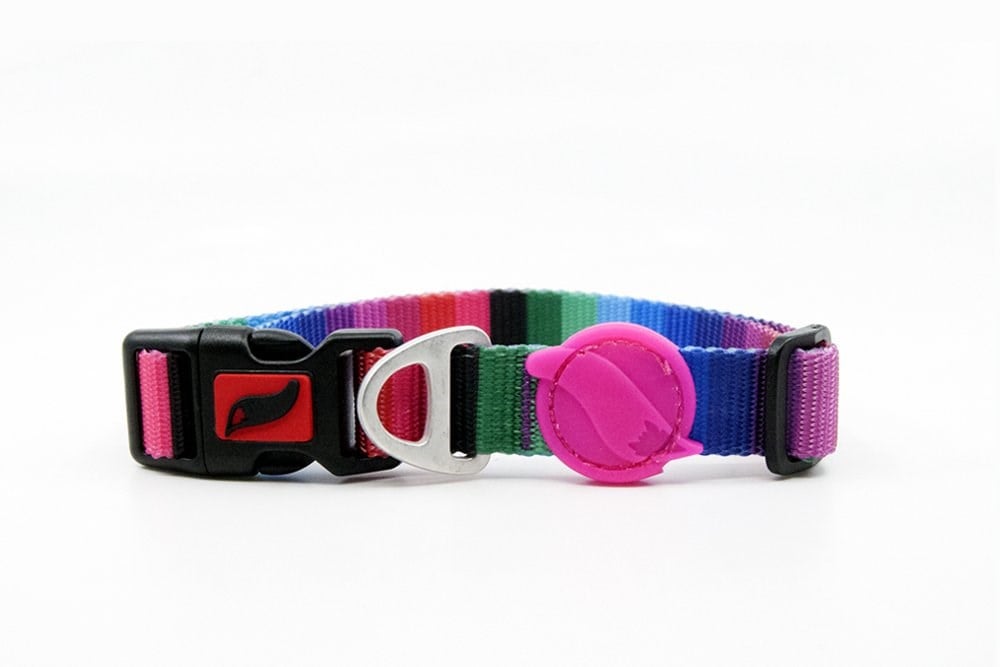 Tailpetz Wave L Orta-Büyük Irk Köpek Boyun Tasması (Boyun 40 cm x 65 cm)