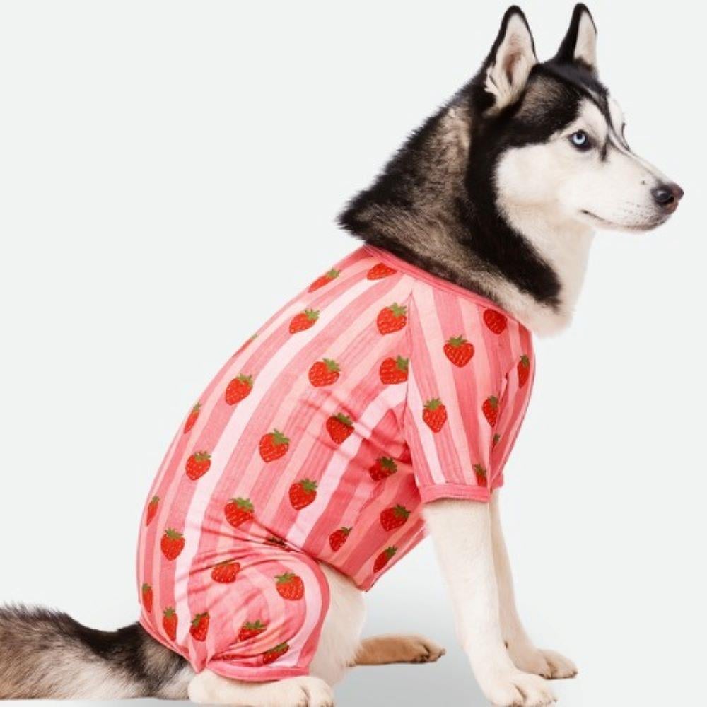 Gedyco Çilekli Penye Büyük Irk Köpek Tulumu